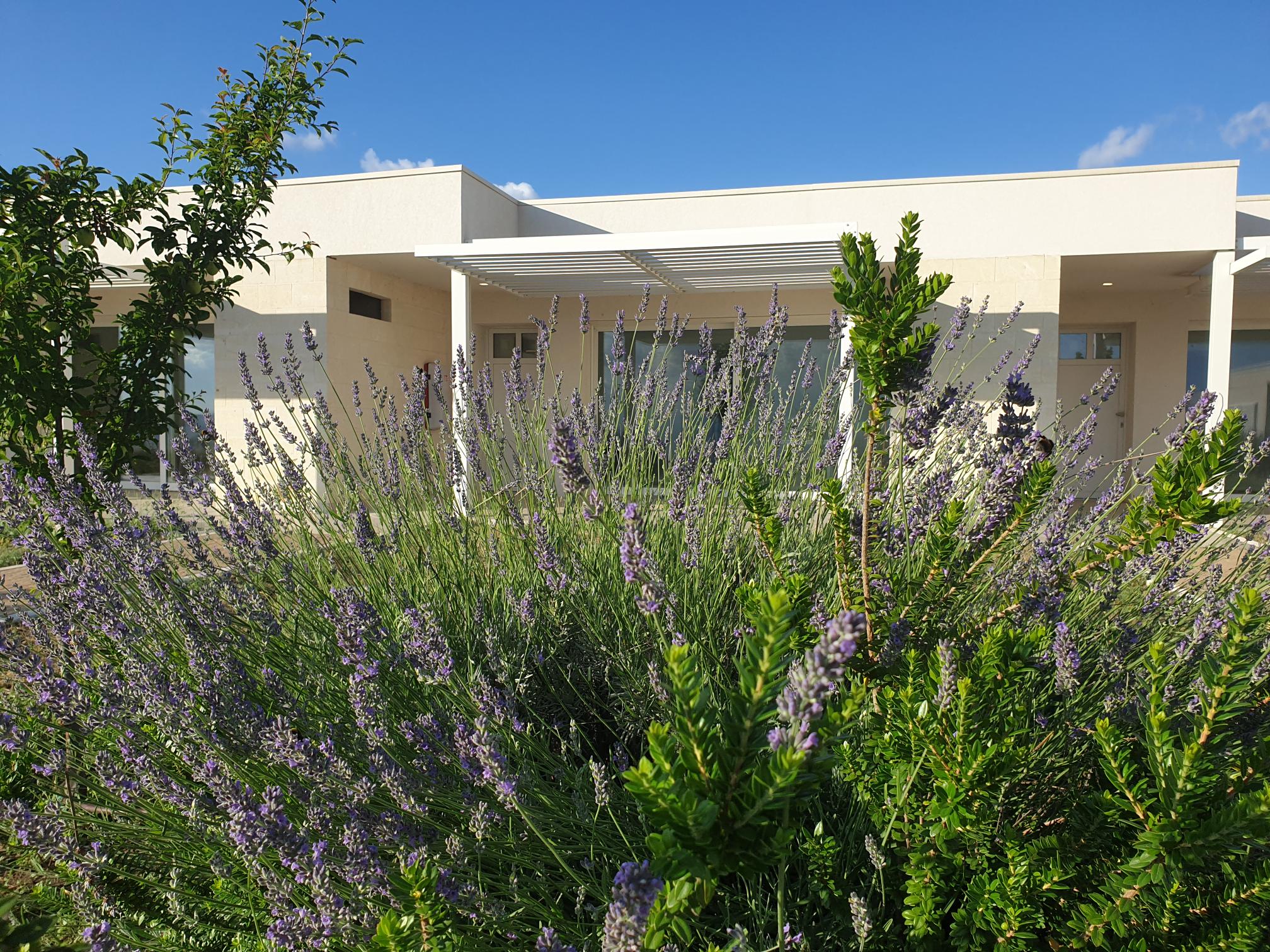 Borgo Argenta RSA